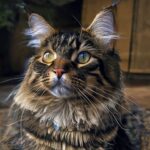 Get to your first working agent in minutes: Announcing new features in Amazon Bedrock AgentCore